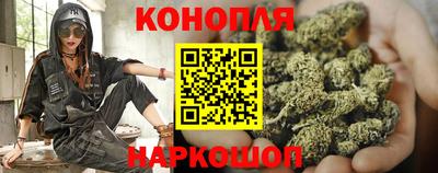 крисы Мариинск