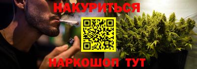 шишки Можга