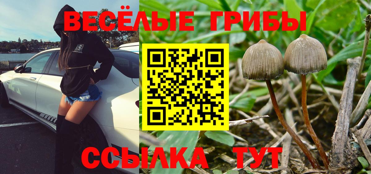 Галлюциногенные грибы GOLDEN TEACHER  Галлюциногенные грибы ЛСД  Вход с VPN  Торжок 