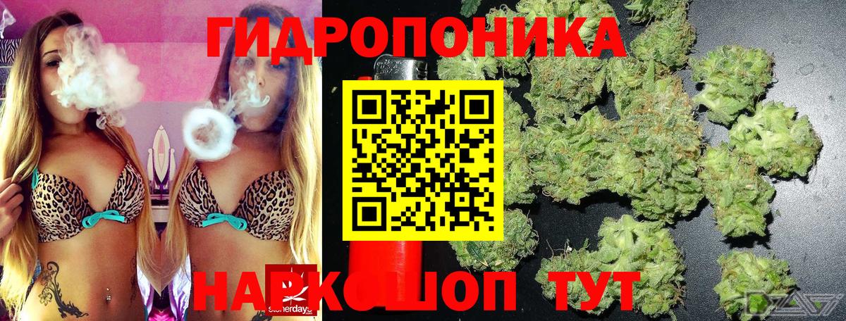 Канабис Bruce Banner  Вход с VPN  Шишки марихуана сатива  Торжок 